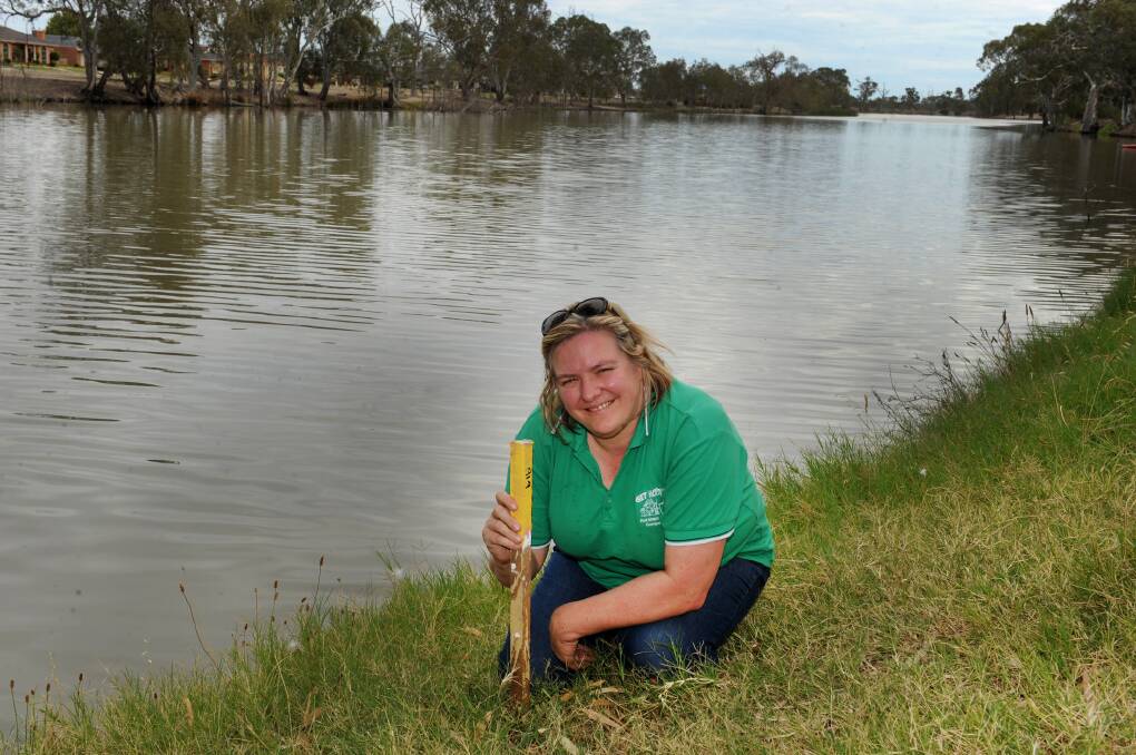 Horsham Fishing Competition assistant secretary Prue Beltz with her stake at the Wimmera River ahead of Sunday’s fishing competition. More than 1000 people have registered for the event. Picture: PAUL CARRACHER