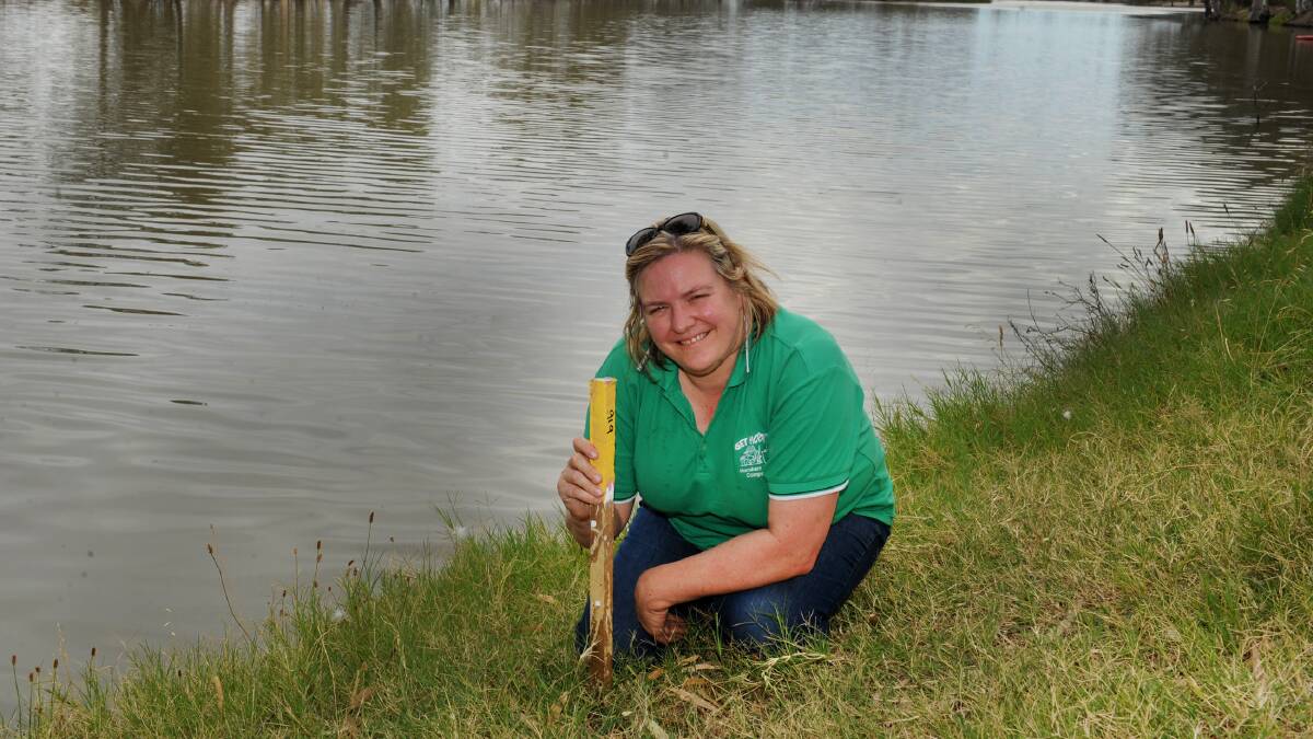 Horsham Fishing Competition assistant secretary Prue Beltz with her stake at the Wimmera River ahead of Sunday’s fishing competition. Picture: PAUL CARRACHER