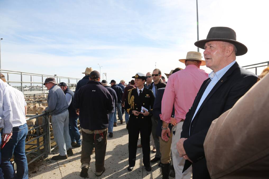 Governor-General Peter Cosgrove watches a sale at the Horsham Regional Livestock Exchange. Picture: THEA PETRASS