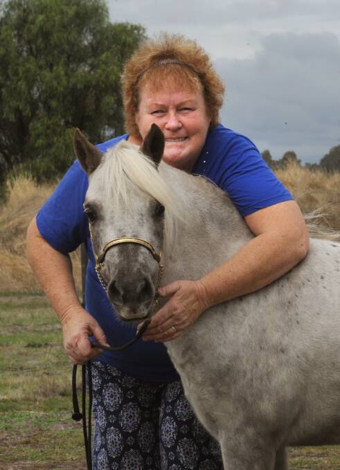 CHAMPION: Gaye Longley celebrates winning three awards at the 2014 International Miniature Horse Registry National Show in NSW in March. Picture: PAUL CARRACHER