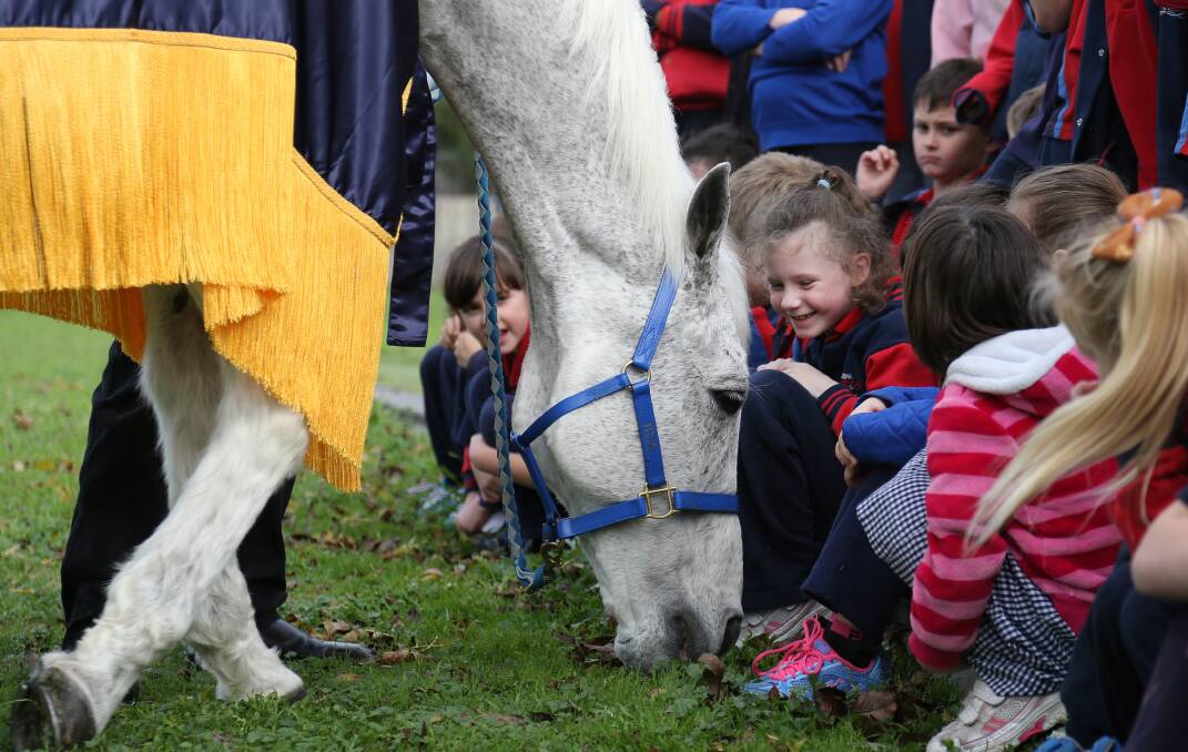 PLEASED TO MEET YOU: Tamisha Hadden, 7,  gives 1992 Melbourne Cup winner Subzero a pat during his visit to Horsham Primary School. Picture: THEA PETRASS