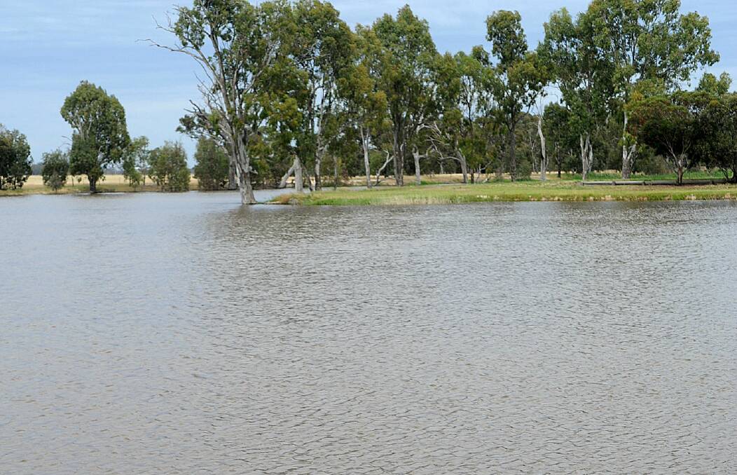 NEW VENUE: The Wimmera River in Horsham is being considered for water skiing. Picture: File Pic.