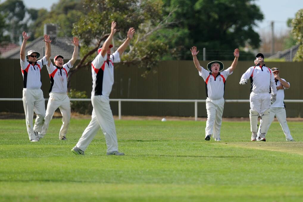 Saints celebrate a 'not-out' call during the Horsham Saints v Jung Tigers B Grade grand final.