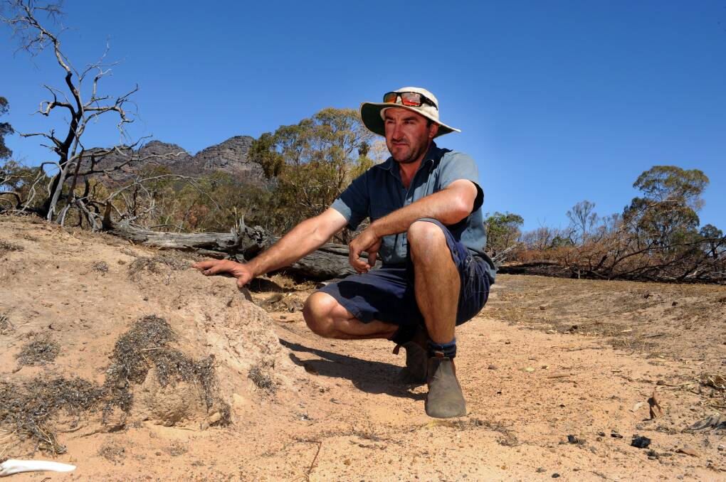 CONCERNED: Sheep farmer David Schmidt is worried about possible water erosion on his Brimpaen farm after the Grampians fire. The erosion, pictured, resulted from the 2006 Mt Lubra fire. Pictures: PAUL CARRACHER