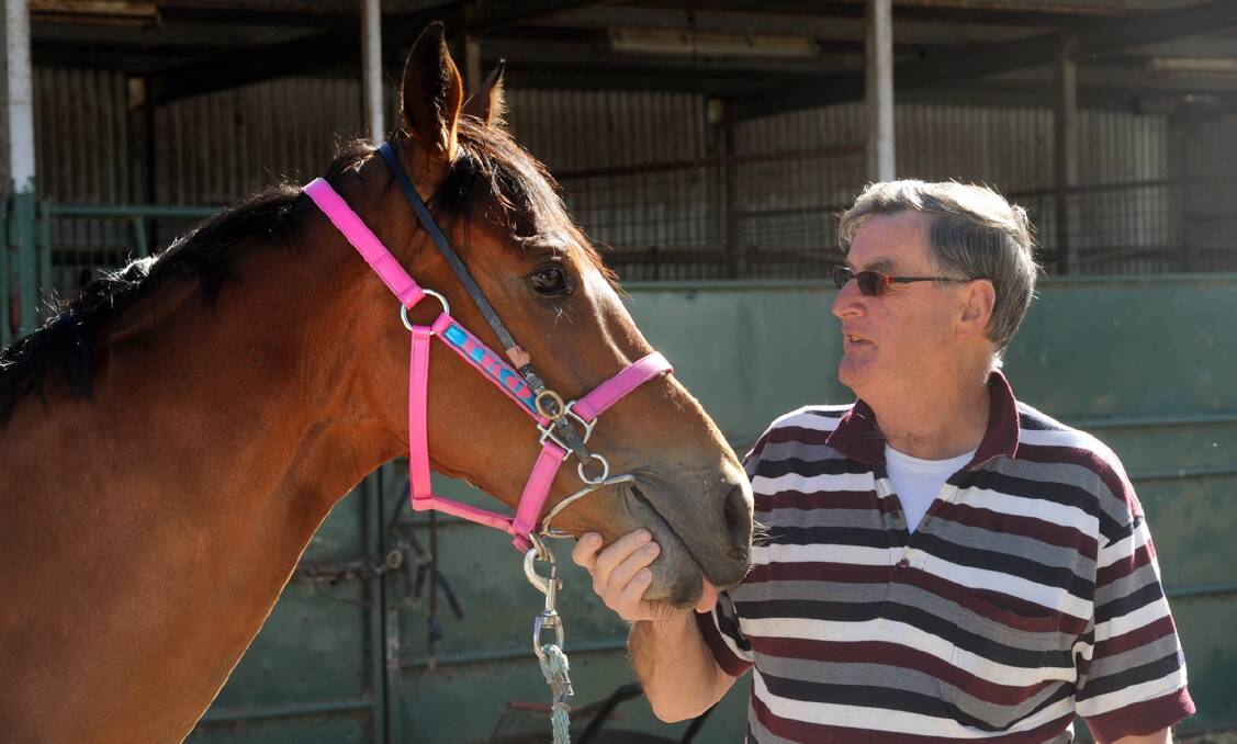TRAINER: Stawell horse trainer Terry O'Sullivan, pictured with horse Melaleuca. Picture: PAUL CARRACHER