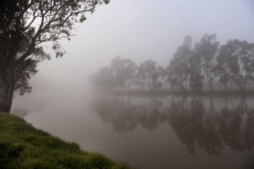 PIC OF THE DAY. Send your photos of the Wimmera to newsdesk@mailtimes.com.au or tag us on Instagram @wimmeramailtimes and use the hashtag #wakeupwimmera to have your pic included! Photo: SAMANTHA CAMARRI