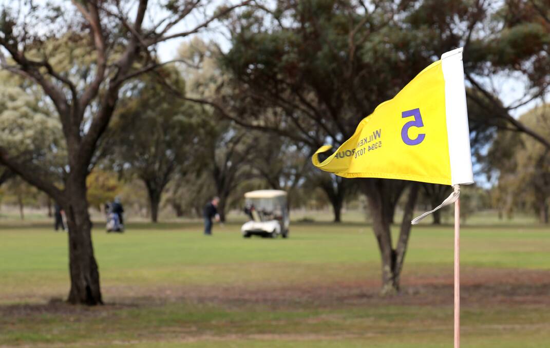 A windy day at the Sheep Hills Golf Course. Picture: THEA PETRASS