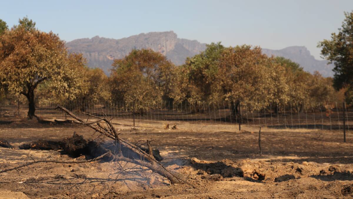 Fires at Laharum left devastation at Laharum Grove. Picture: THEA PETRASS