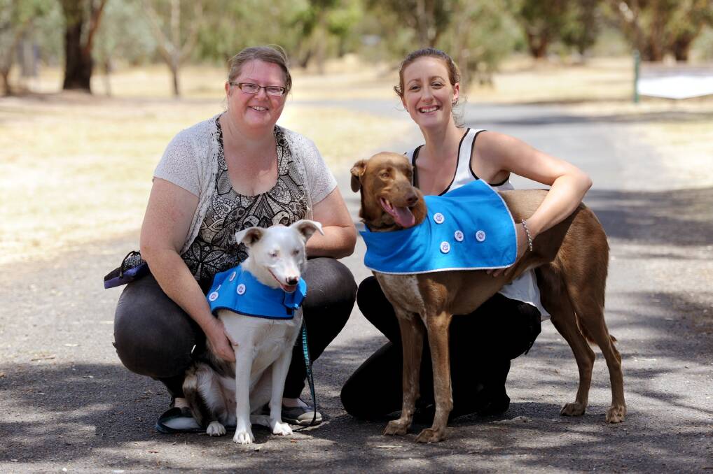 READY TO GO: Helen Richardson and Tarni Rees prepare their dogs Gary and Luna for the Dog Scouts events. Horsham Dog Obedience Club is the second in Victoria to run the program. Picture: SAMANTHA CAMARRI