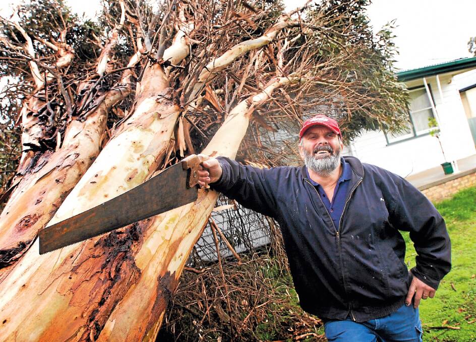 STILL SMILING: Horsham resident Cliff Taylor can still manage a smile despite a large tree falling on his Murray Street home. Mr Taylor started sawing away at the tree when State Emergency Service workers were forced to tend to more serious jobs. Picture: TIM HESTER