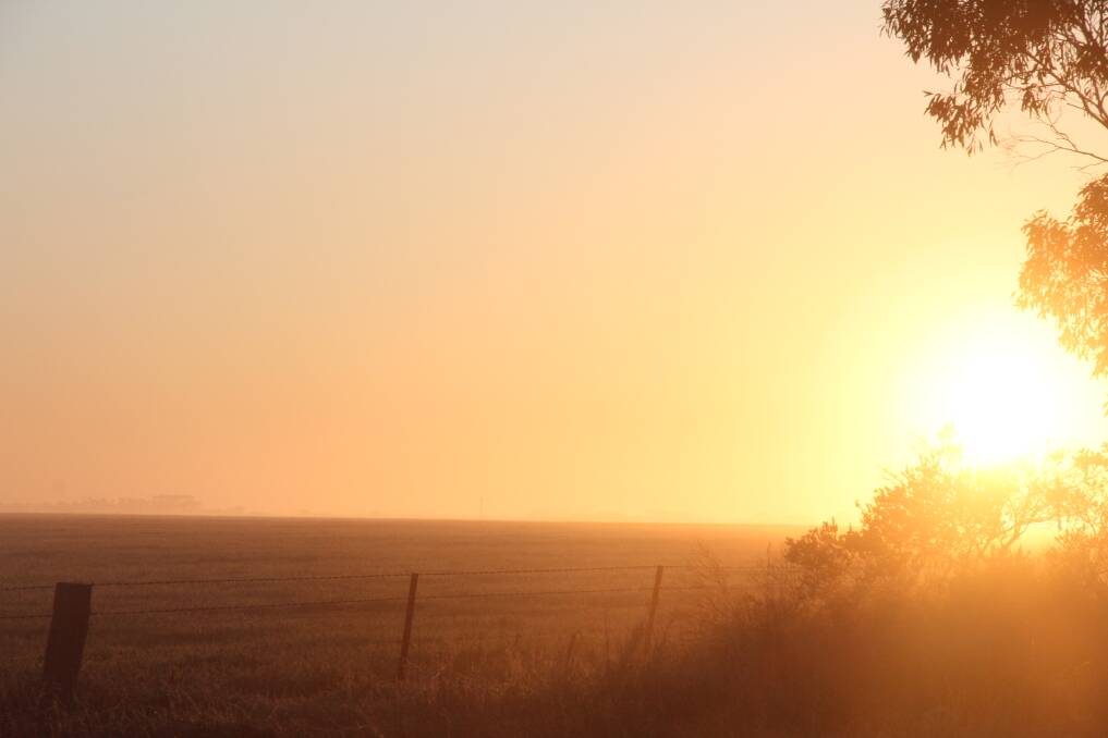PIC OF THE DAY: Send your photos of the Wimmera to newsdesk@mailtimes.com.au or tag us on Instagram @wimmeramailtimes and use the hashtag #wakeupwimmera to have your pic included! Photo: MICHAEL MOERKERK