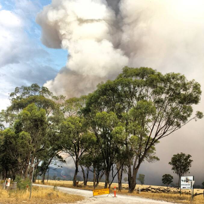BLOCKED OFF: A roadblock at a road near the Grampians during the January bush fires. Picture: EMMA D'AGOSTINO