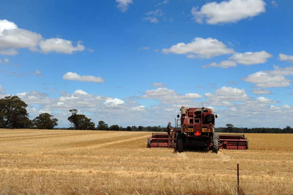 DRY SPRING: The harvest has been tough around the Wimmera, with the driest spring in more than 30 years in some parts. Picture: PAUL CARRACHER
