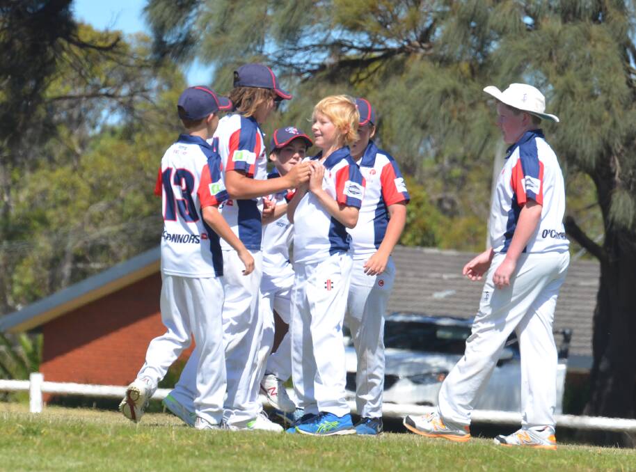 SUCCESS: Horsham Cricket Association's under-13 team celebrated a wicket early on at the Portland country week carnival. Picture: CONTRIBUTED
