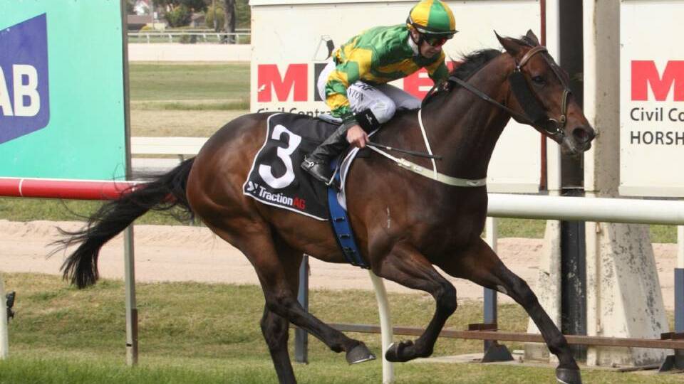 Horsham Cup 2017: Our Bottino gets up to win ahead of outsider