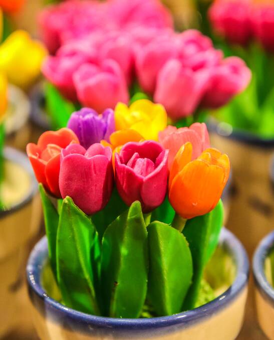FUNDRAISING: The sale of potted tulips was a great fundraiser in 2017.