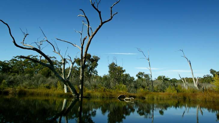The creation of Dharawal National Park, after initial drilling proposals were approved in 2009, is partly responsible for Friday's refusal of Apex's CSG plans. Photo: Paul Jones