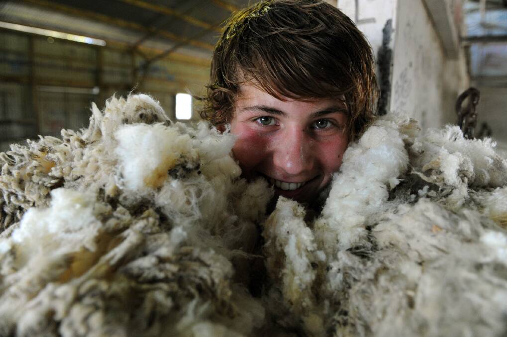 Dustin Cross of Horsham is up to his ears in wool while taking part in the Longerenong College shearing school on Thursday. Picture: PAUL CARRACHER