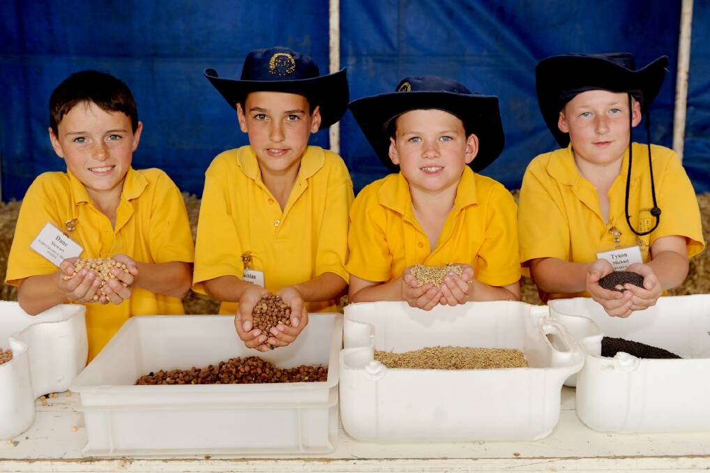 Warracknabeal Primary School year four pupils Dane Stewart, 10, Lachie Stewart, 10, Matthew Penny, 9, and Tyson Michael, 10, learn about grains and safety at the Wallup Graincorp Kid Safe Event at Wallup. Picture: SAMANTHA CAMARRI