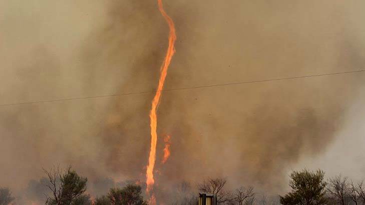 Pillar of flame … a fire tornado near Thargomindah, in Queensland, rises 300 metres into the air.