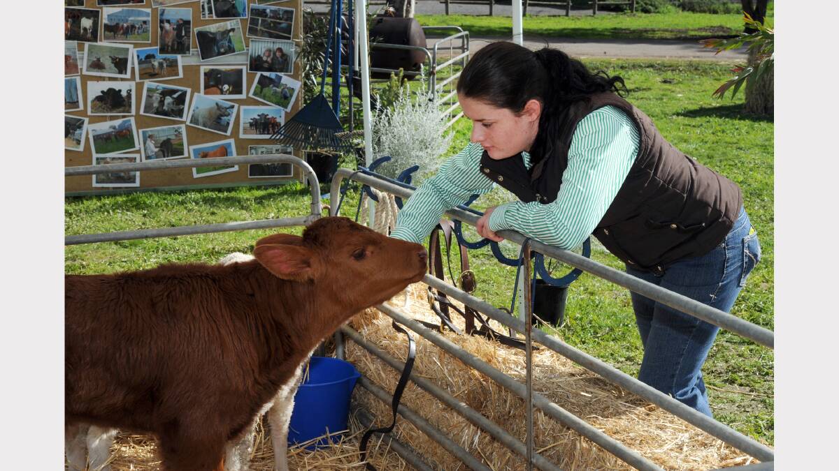 Potential agricultural students converged on Longerenong College yesterday for its annual open day. Student Emma Egan is pictured with a poddy calf at the open day. Picture: PAUL CARRACHER