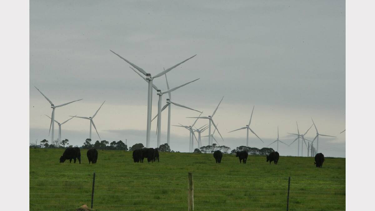 WIND POWER: The Macarthur Wind Farm in south-western Victoria. Picture: LEANNE PICKET