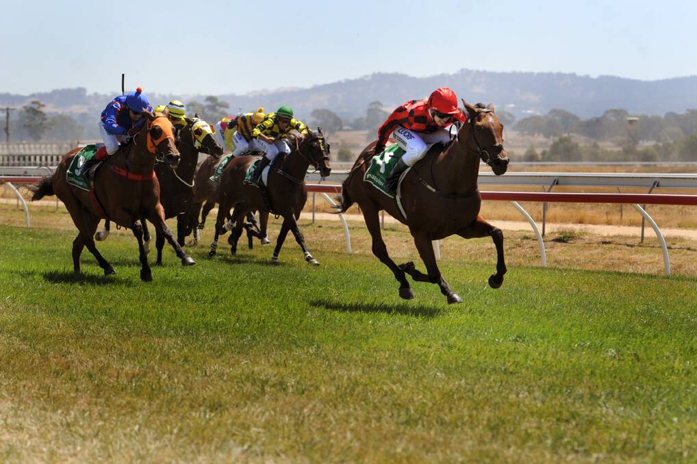 VIXEN'S VICTORY: Stawell-trained mare Spanish Vixen, pictured out front, took out the second Grampians Halls Gap Cup at NMIT Ararat Park on Tuesday. Spanish Vixen is trained by Stawell's Paul Jones and was ridden by Warrnambool apprentice Lily Coombe. Picture: SAMANTHA CAMARRI