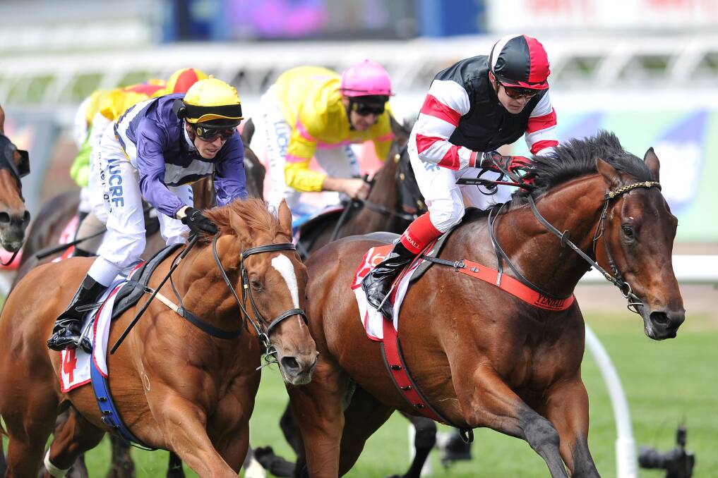 UPON A STAR: Horsham jockey Dean Yendall salutes aboard Polanski in the 2013 Listed UCI Stakes at Flemington. Yendall will ride Robbie Laing's star colt on Saturday when the Victoria Derby winner resumes at Caulfield. Picture: GETTY IMAGES
