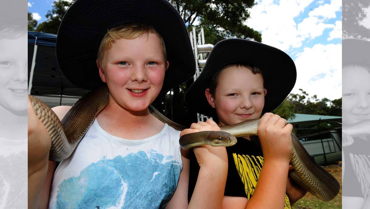 Brothers Ethan Townsend, 10, and Jaxon Townsend, 9, with Oska the olive python from Halls Gap Zoo at Stop Fest Halls Gap. 