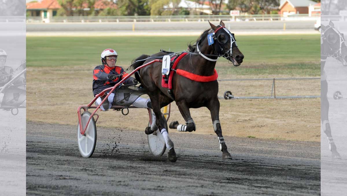 Blitzthemcalder winning the Trotters Cup, trained by Dean Braun in Lara and owned by former Donald racing identity Rick Burchell, won the Conch Deville Horsham Trotters Cup by a massive  margin. 