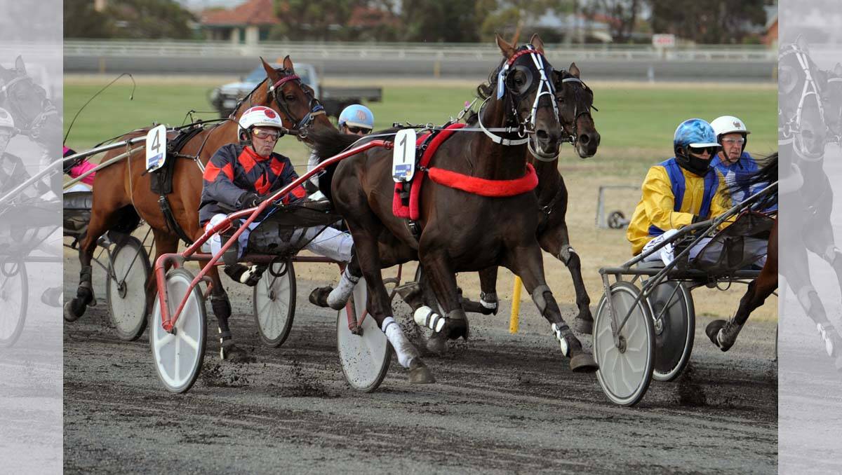 Blitzthemcalder winning the Trotters Cup, trained by Dean Braun in Lara and owned by former Donald racing identity Rick Burchell, won the Conch Deville Horsham Trotters Cup by a massive  margin. 