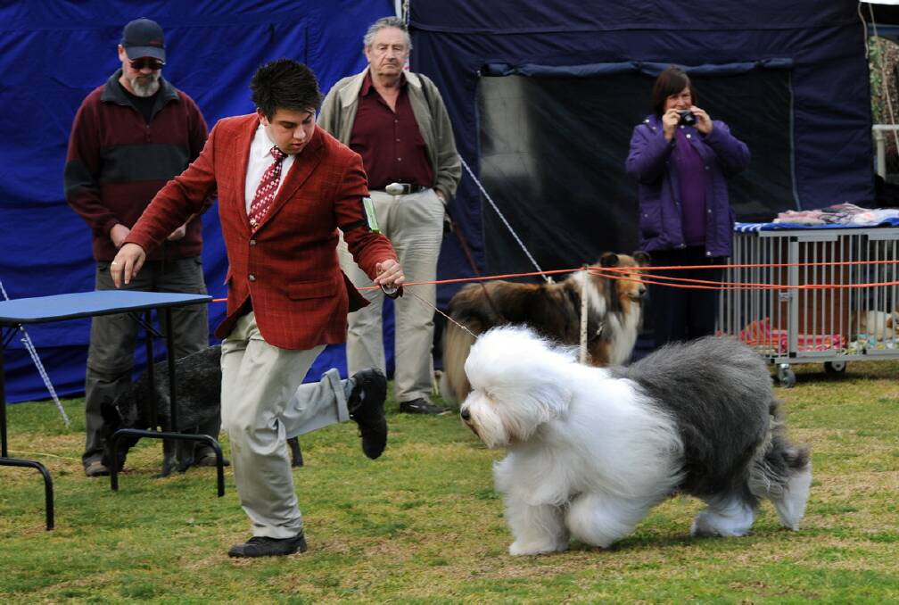Jason Moore, Beaconsfield, with old english sheepdog Priscilla at Horsham Wimmera Kennel Club All Breeds Championship at Horsham Showgrounds. Won best hearding dog. 