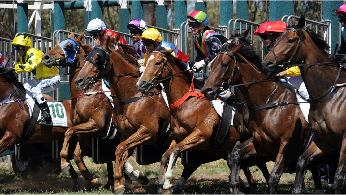 THEY'RE OFF: Nhill Cup organisers are expecting a large crowd on Boxing Day. Picture: PAUL CARRACHER