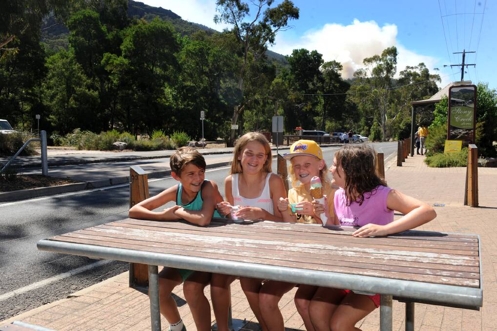 VISITING: Josh Reid, 12, Drew Smith, 12, Kobe Smith, 9, Amy Reid, 10, all of Stawell, take time out in Halls Gap. Picture: SAMANTHA CAMARRI
