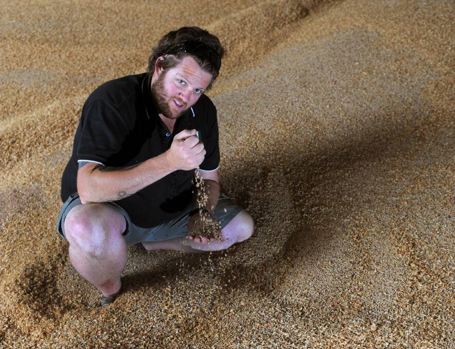 ON THE JOB: Chris O'Bryan with Flash Lentils at Wimmera Grain Company. Picture: PAUL CARRACHER