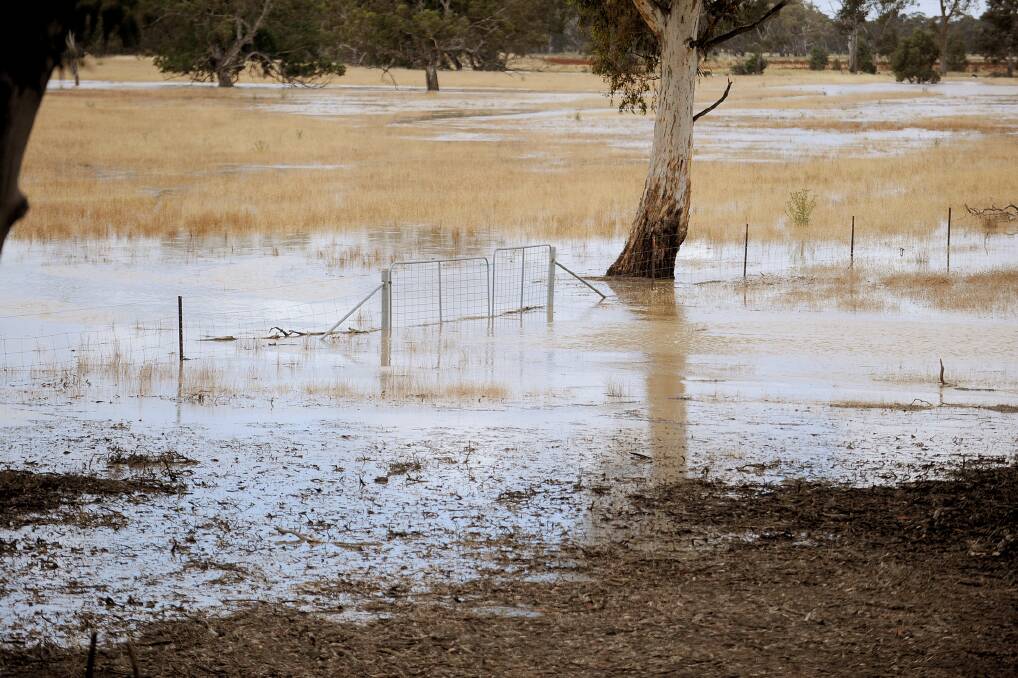 GOING UNDER: Heavy rain flooded paddocks along the Stawell-Warracknabeal Road just out of Glenorchy in December 2011. Picture: SAMANTHA CAMARRI