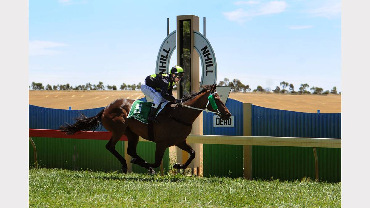 IN ACTION: Lady of Troy, ridden by Paul Marks, runs first in race one Union Hotel Nhill Maiden Plate at the Nhill Cup.