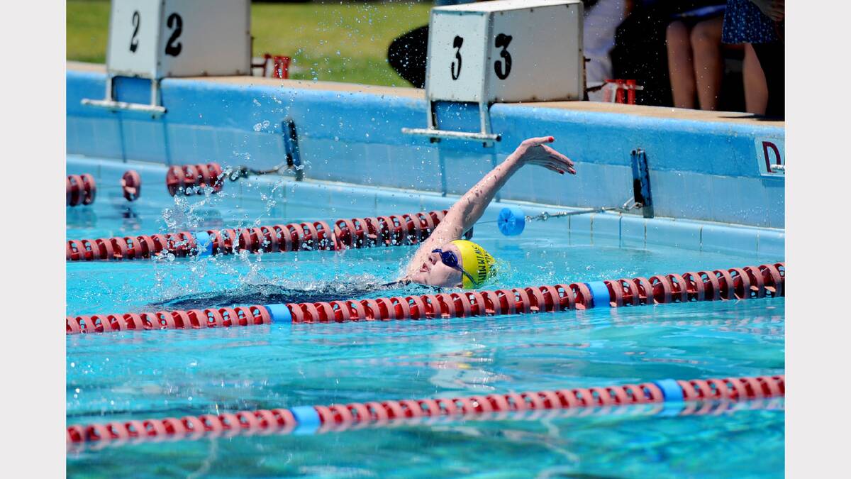 AT THE WALL: Ballarat Gold Swimming Club competitor Conor Delahunty reaches for the finish.