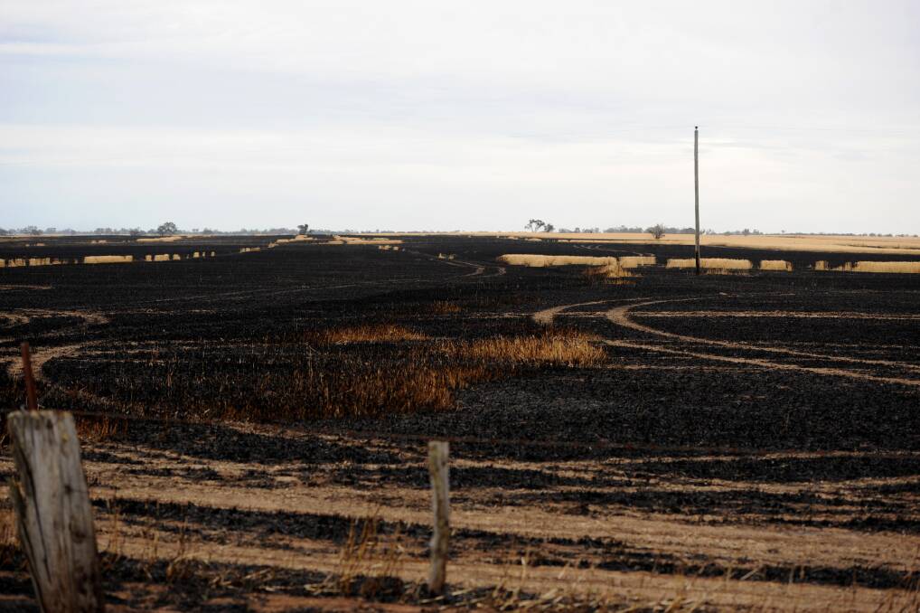 The remains of the Wallup crop fire. Picture: SAMANTHA CAMARRI