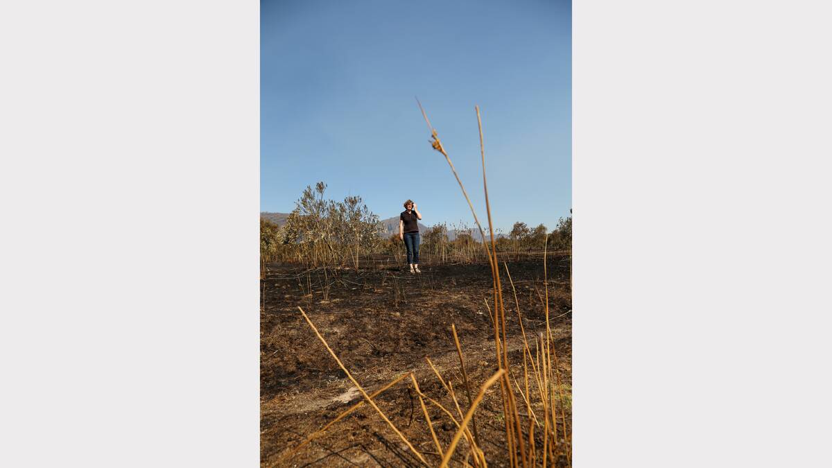DESTROYED: Laharum Grove owner Deirdre Baum surveys the damage to her 300-acre property after fire destroyed about 90 per cent of the grove’s 11,000 olive trees. Despite the loss Mrs Baum remains positive that the business will be back on its feet within the next two years. Pictures: THEA PETRASS