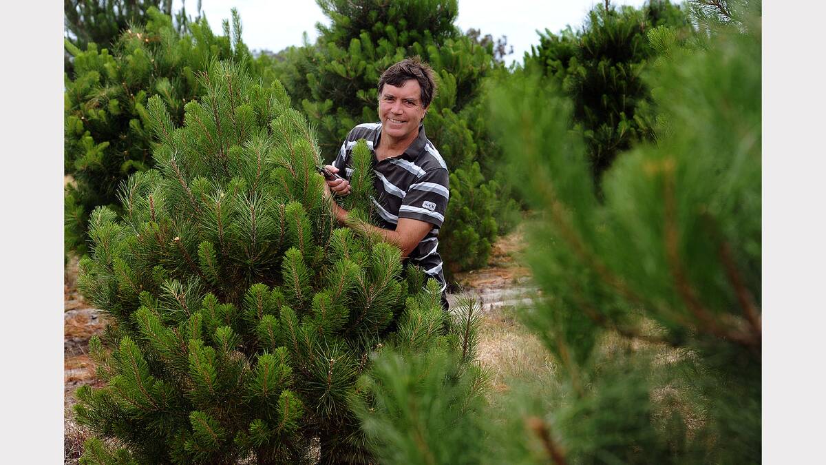Christmas in the Wimmera, 2011.