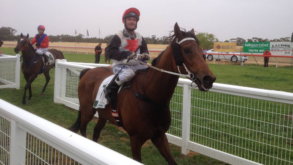 WINNER: Jockey Paul Marks with Back On Track after their win at the 2014 Marma Cup. Picture: PAUL CARRACHER