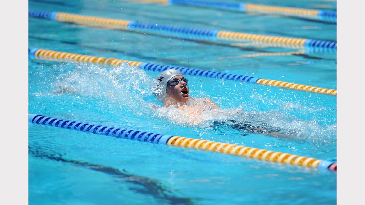 COMPETITIVE: Michael Sherry of Horsham Sharks takes to the water during a Horsham Swimming Club meet.