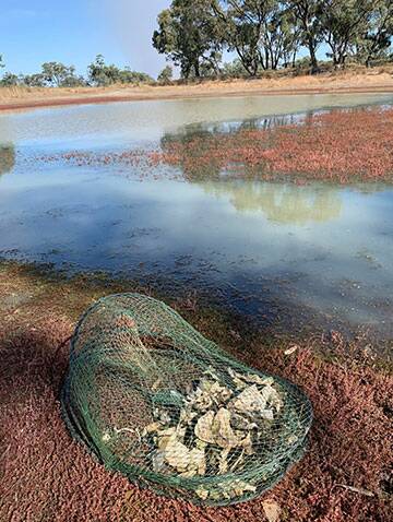 BANNED: The opera house net is banned in Victoria. Animals get trapped and drown in its net. Picture: CONTRIBUTED.