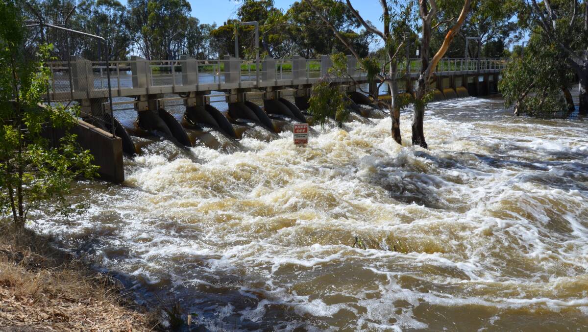 A FLUSH: The Horsham Weir on Tuesday due to heavy rainfall last week. Picture: ALISON FOLETTA.