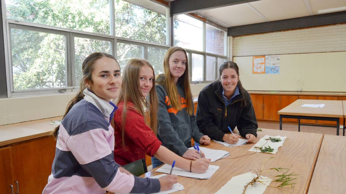 THEORY: Mickaela Wilkinson from Crowlands, Elyssa Hausler from Edenhope, Jennah Horton from Burnie, Tasmania and Kayla-Mae Hyslop from Stawell are studying the flaghsip course from Longerenong, Advanced Diploma of Agri-business management. Picture: ALISON FOLETTA. 