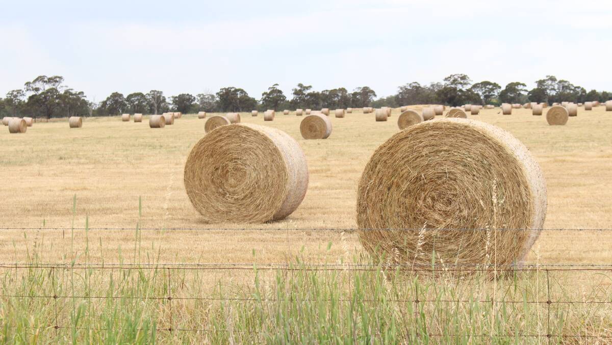 HARVEST: The recent ABARES report forecasts Victorian grain production to reach 9.3 million tonnes for the 2020 - 21 season. Picture: CONTRIBUTED