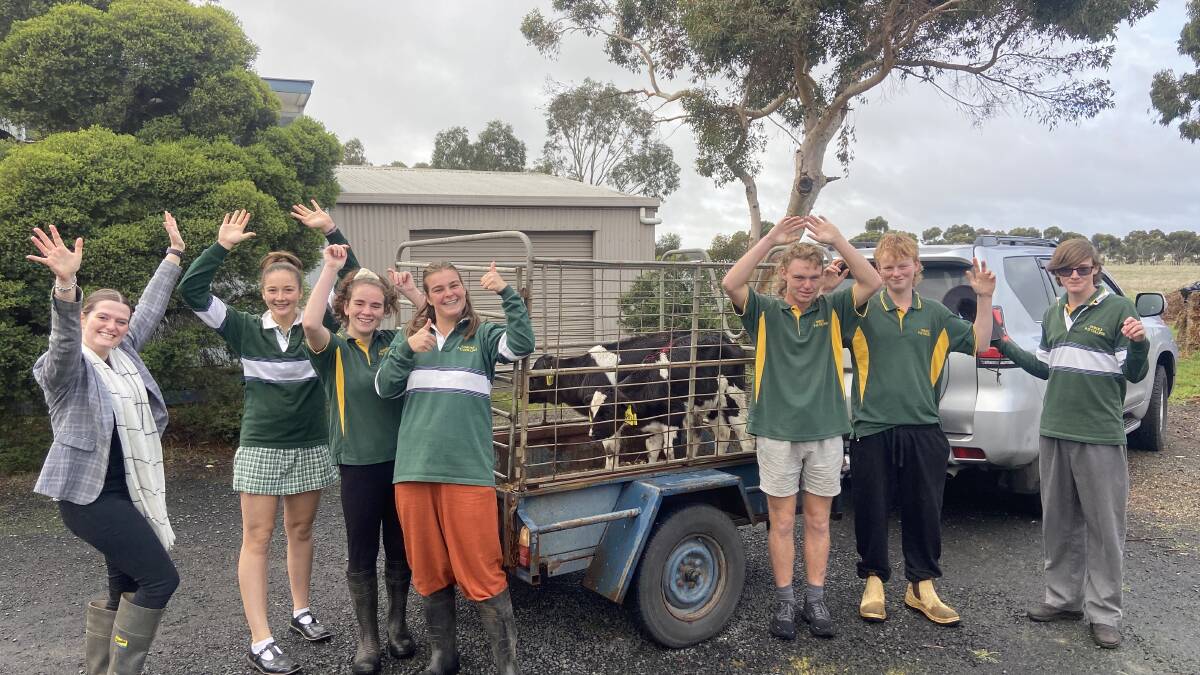DAIRY: Goroke P-12 science coordinator Miss Hobbs and agriculture students excited for the arrival of the two calves. Picture: CONTRIBUTED