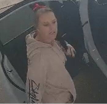 Horsham police want help identifying couple in relation to car theft