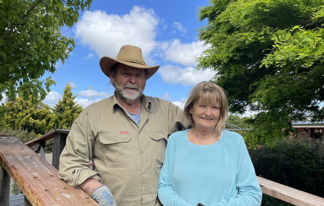 HAVEN: John and Pam Penny have opened their stunning garden for the public, which includes a treehouse former-engineer John built for his son. Picture: ALISON FOLETTA